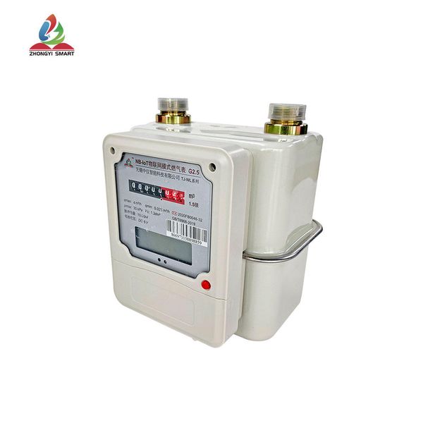 High Quality Domestic Gas Meter / G4 Intelligent Gas Meter with Nb Communication