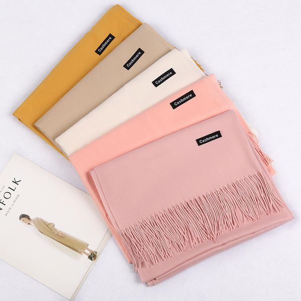 Fashion Women Winter Soft Cashmere Scarf Ladies Scarves Shawls Stylish Warm Custom Plain Tassel Pashmina Scarf Wholesale